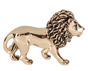 Be Brave and Courageous Lion Charms Pocket Tokens