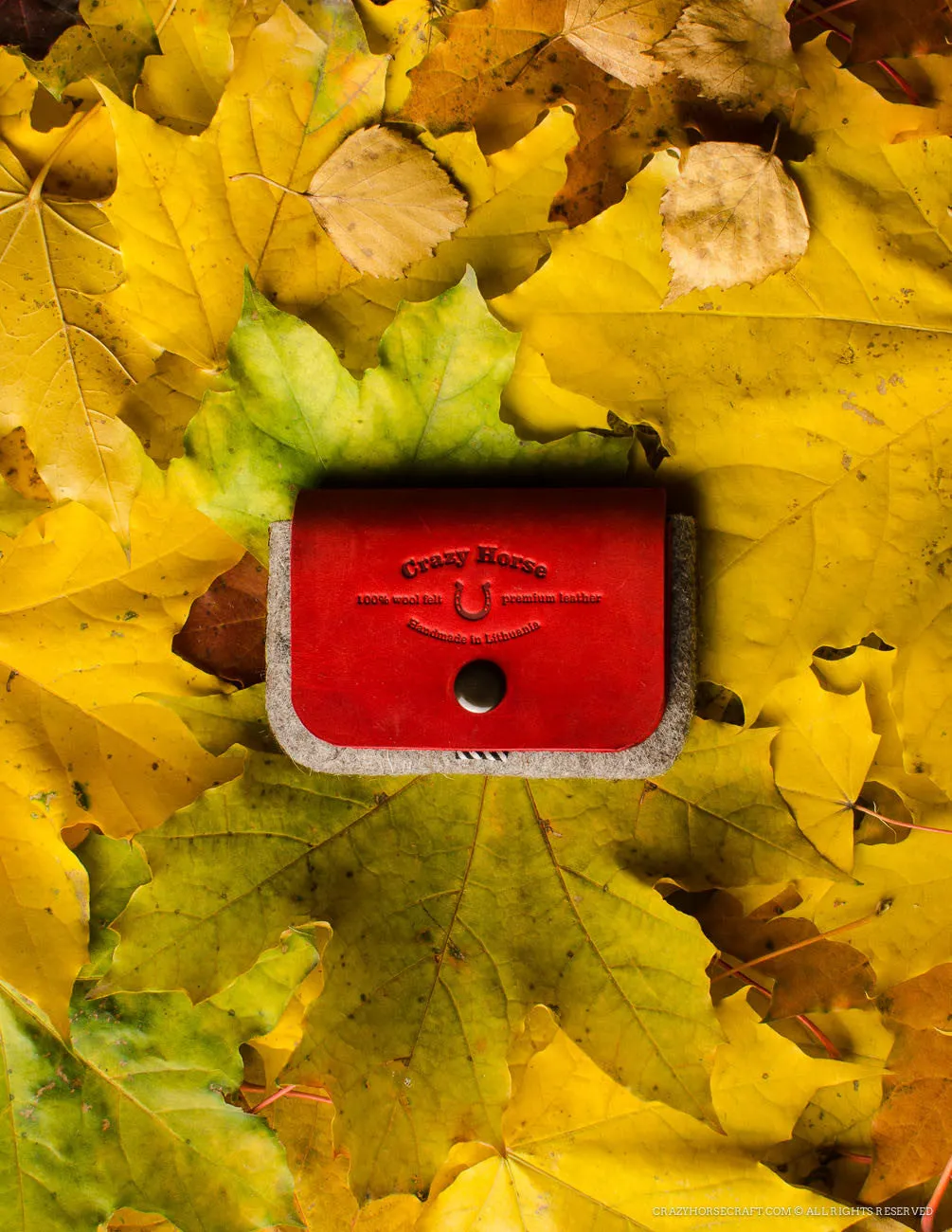 Wool Felt Cardholder & Coin Purse | Autumn Red